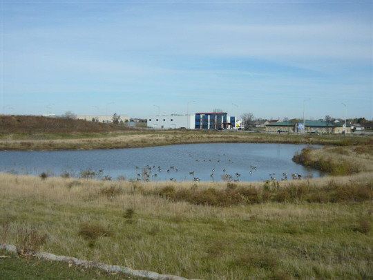 BELL VALLEY COMMONS: 1252 Bell Valley Rd, Rockford, IL 61108